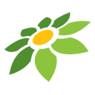 AFILIATOR TOKOPEDIA